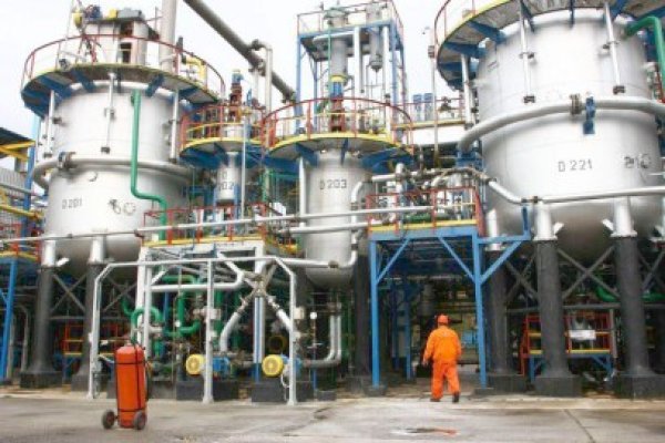Rompetrol şi-a adâncit pierderile în primul trimestru de 5,5 ori